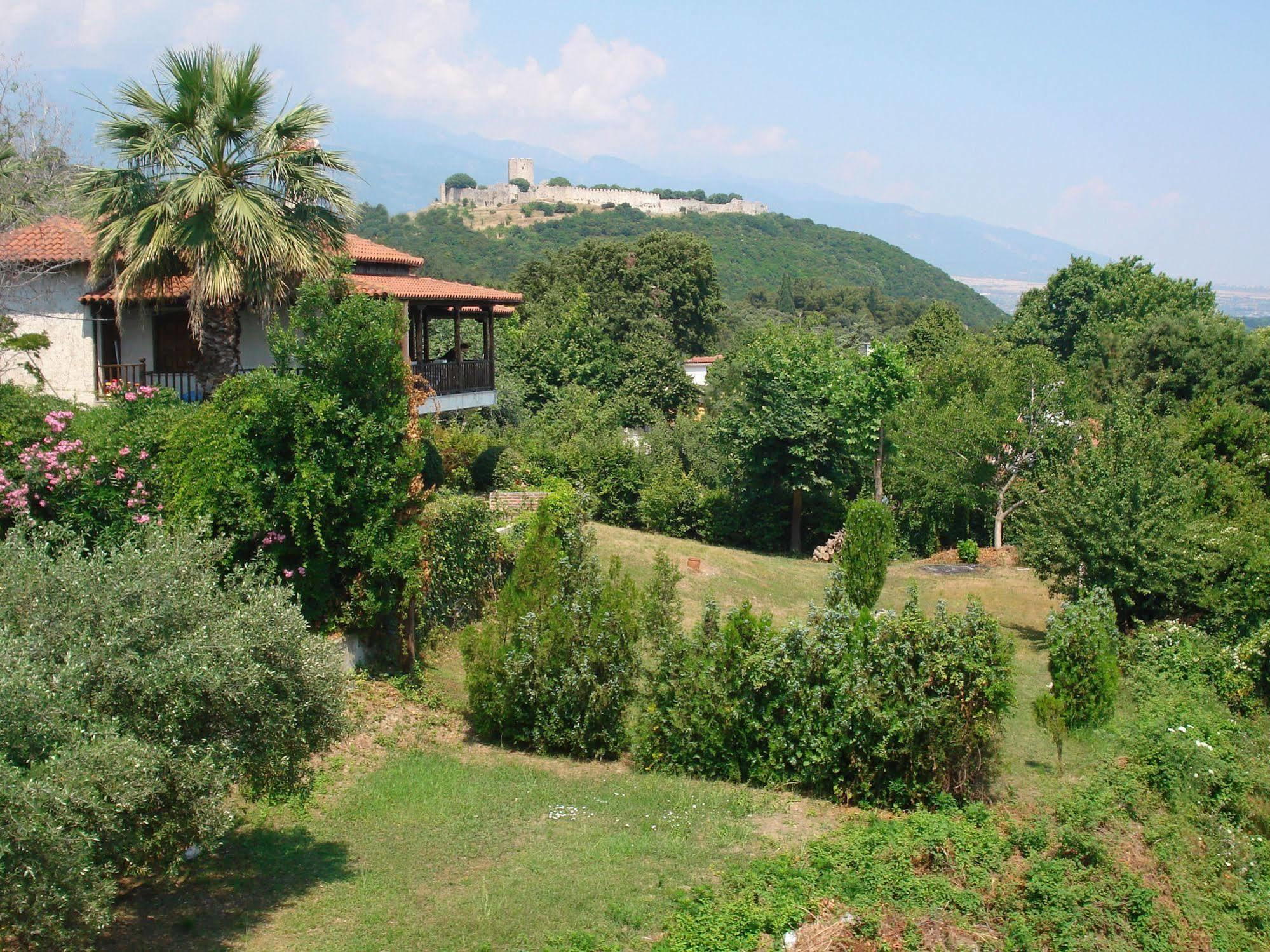 Hotel Alkyonis Platamonas Extérieur photo